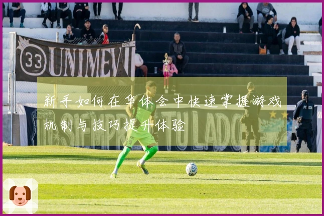 新手如何在华体会中快速掌握游戏机制与技巧提升体验