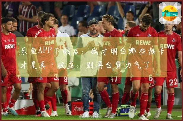 乐鱼APP下载后，我才明白哪些抽卡才是真·收益，别再白费力气了